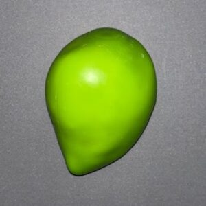 Crunchy Mango Squishy